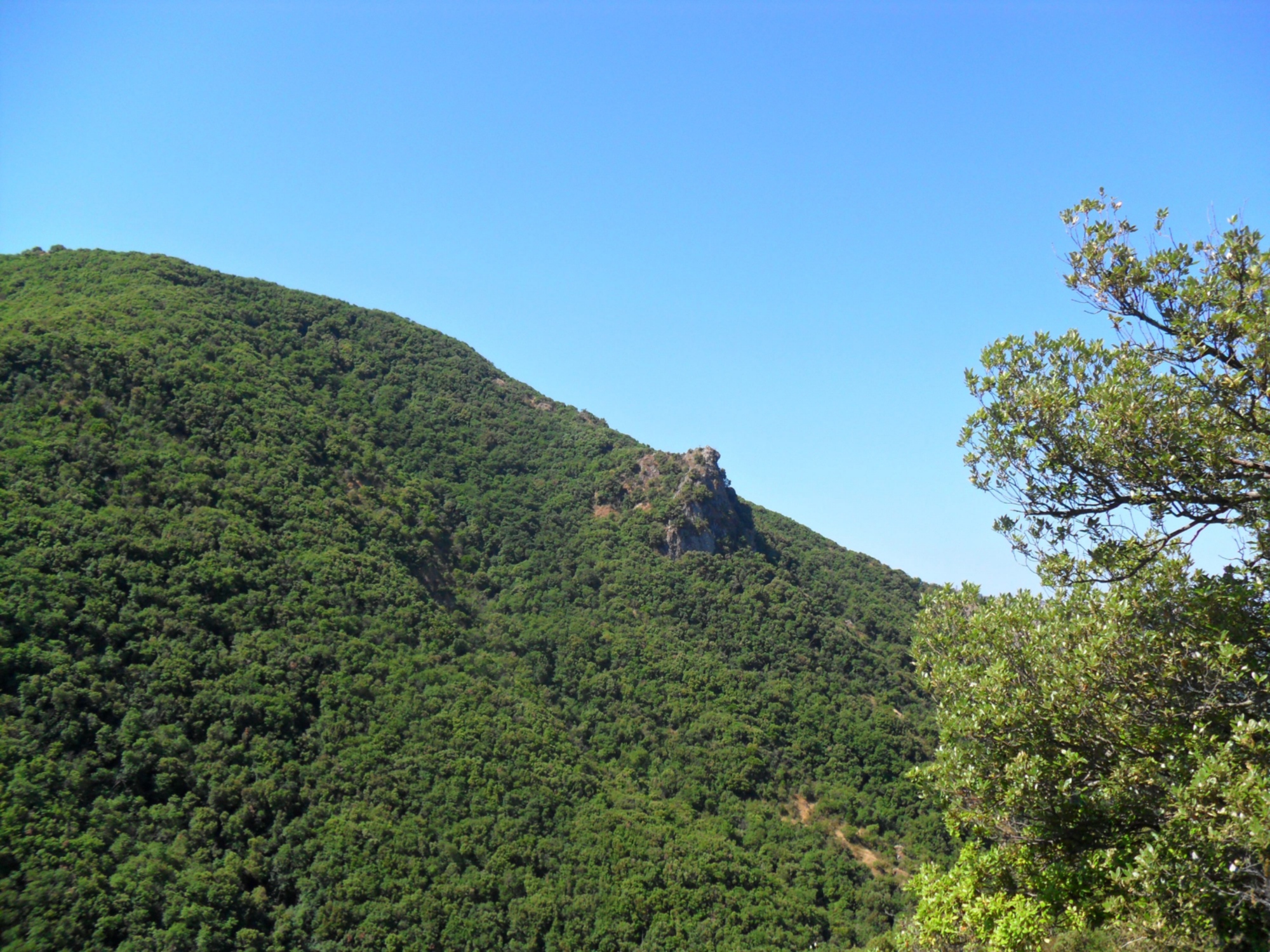 Naturschutzgebiet Montenero